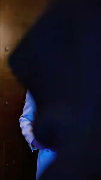 เขยแห่งเจิ้นกั๋ว