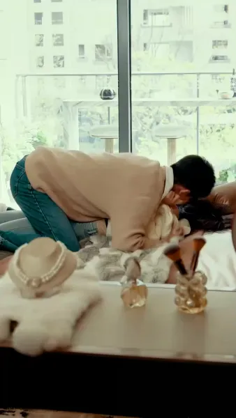 ใต้ปีกฟ้าแห่งรัก