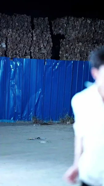 วิวาห์ฟ้าแลบกับภรรยาทั้งหวานทั้งโหด