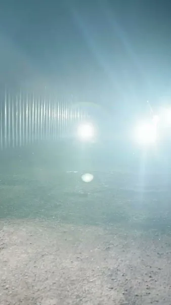 วิวาห์ฟ้าแลบกับภรรยาทั้งหวานทั้งโหด