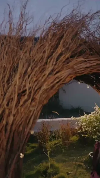 รักเป็นพิษ แค้นเป็นยา