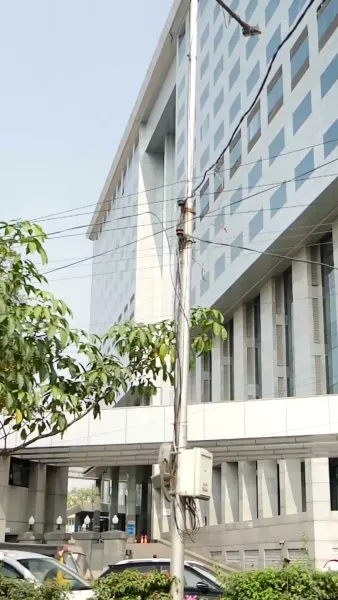 รักร้ายของนายมาเฟีย