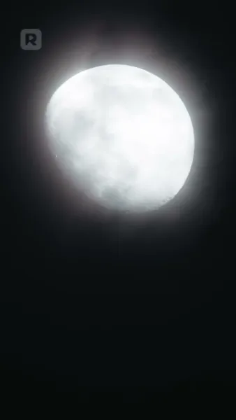 พันธะรักสีเลือด