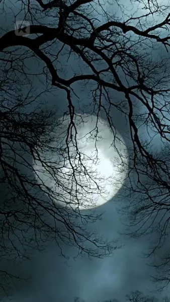 พันธะรักสีเลือด