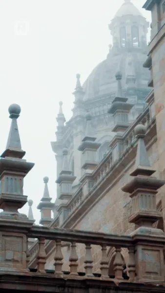 พันธะรักสีเลือด