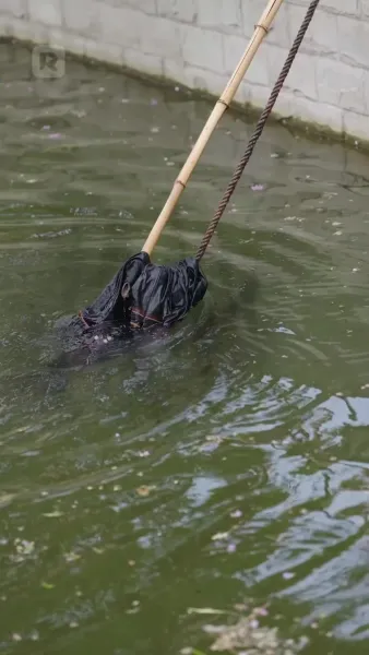 ทูตสื่อวิญญาณตัวน้อย