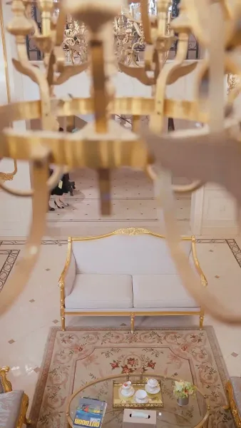 พิชิตใจยัยไฮโซ