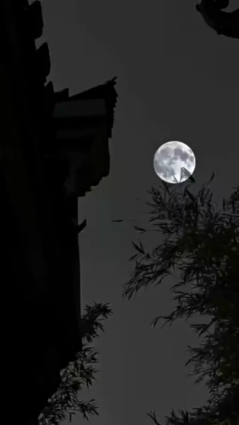 อยู่ดีๆ มีลูกสาวห้าคน แถมแม่เป็นฮ่องเต้หญิงอีก