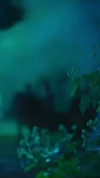 อยู่ดีๆ มีลูกสาวห้าคน แถมแม่เป็นฮ่องเต้หญิงอีก