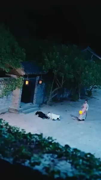 อยู่ดีๆ มีลูกสาวห้าคน แถมแม่เป็นฮ่องเต้หญิงอีก