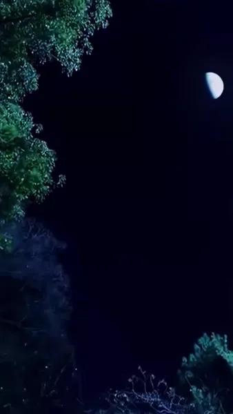 แม่บ้านทะลุมิติ