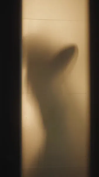 （พากย์ไทย）เจ้าสาวต้องห้ามของมันชินี