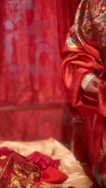 หวนฟ้าชะตาหงส์