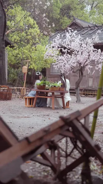 เรื่องเล่าจากพระราชวังตะวันออก