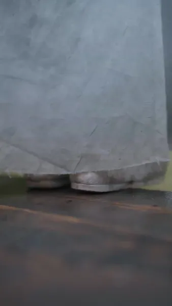 เรื่องเล่าจากพระราชวังตะวันออก