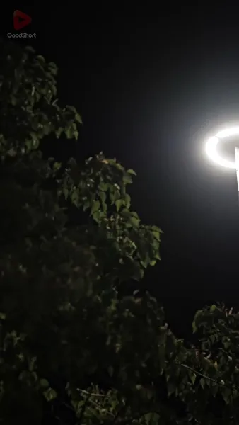 คุณชายมาเฟียครับรับใจผมไปที