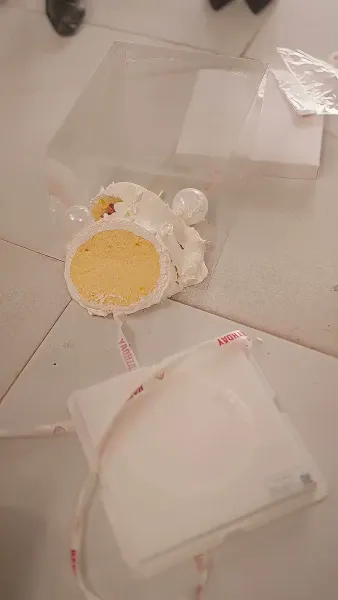 มังกรทะยานฟ้า