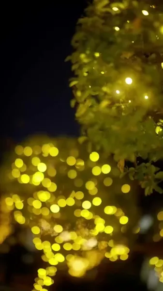 เจ้าชายกับความลับของหัวใจ