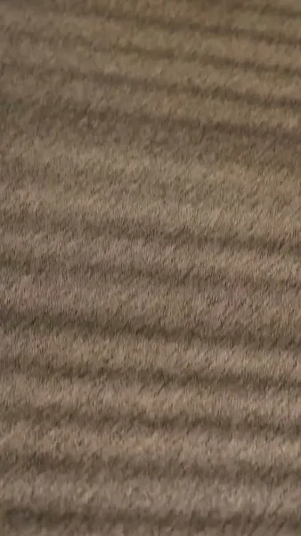 [พากย์ไทย]ภรรยา กลับมาแล้ว 2