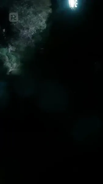 กุหลาบเหล็ก แห่งโรงเรียนไฮโซ