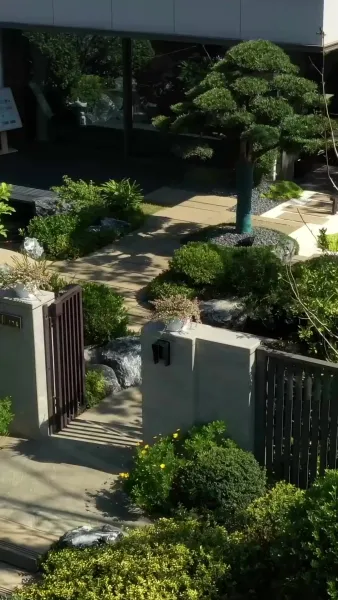 รักต่างวัยกับประธานคนซึน