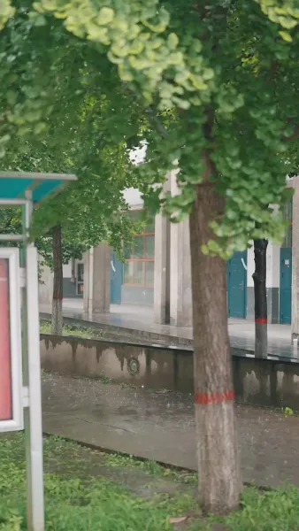 กุหลาบในกำมือ