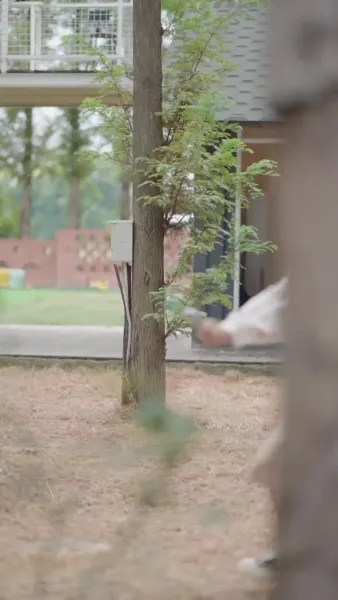 ลิขิตรักท่านประธาน