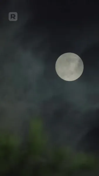 อย่าไปแหยมเด็กอุ้มตุ๊กตา เธอต่อสู้โหดมาก