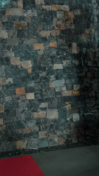 เจ้าสาวแห่งการแก้แค้น