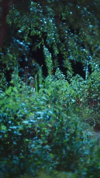 เจ้าสาวแห่งการแก้แค้น