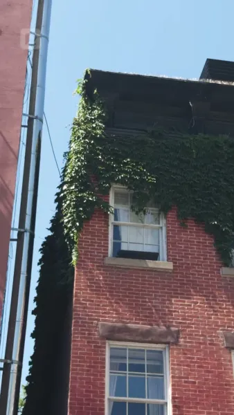 พันธนาการรักวิวาห์อลเวง