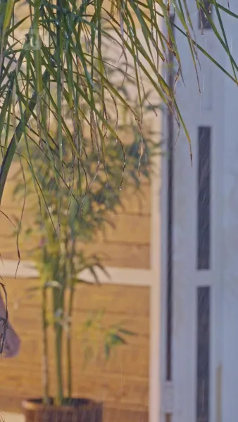 พันธนาการรักวิวาห์อลเวง