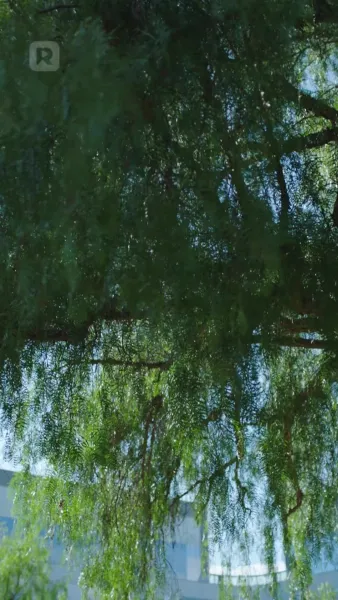 ท้องลูกพ่ออาจารย์แฟนเก่า