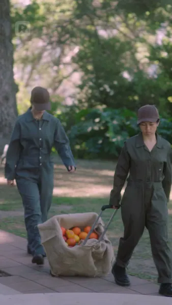 คำสาปของราชามังกร