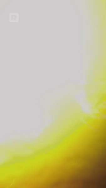 คำสาปของราชามังกร