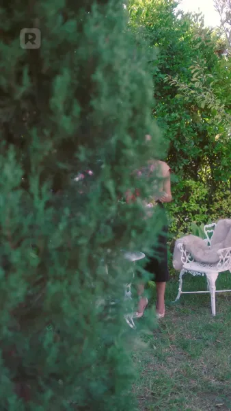 คำสาปของราชามังกร