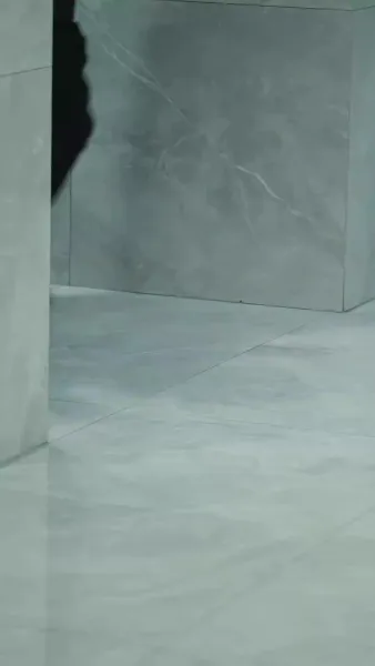 หมัดเหล็กแห่งการไถ่บาป