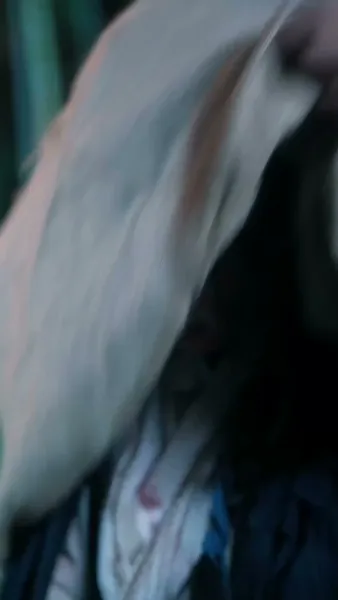 สายใยรักองค์หญิง