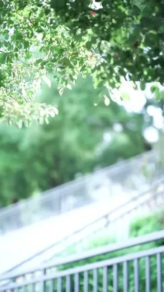 าคู่มือแฝงตัวในแวดวงไฮโซ