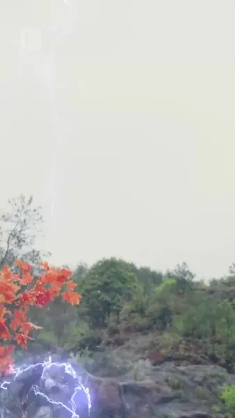 ตำนานดำ: อาจารย์ของฉันคือซุนหงอคง