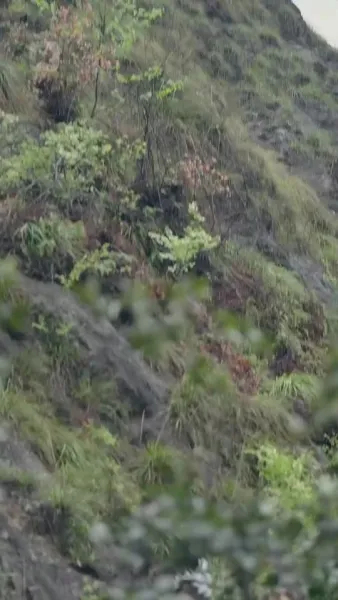 ตำนานดำ: อาจารย์ของฉันคือซุนหงอคง