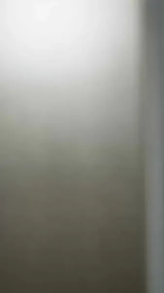 หลังแต่งงานฉับพลัน ฉันกลายเป็นเบี้ยของเจ้านาย