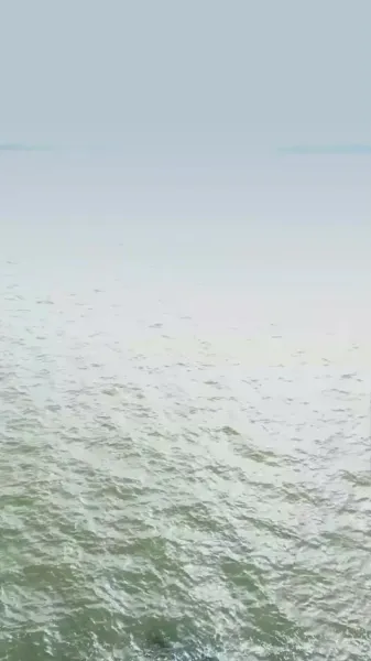 หลังแต่งงานฉับพลัน ฉันกลายเป็นเบี้ยของเจ้านาย