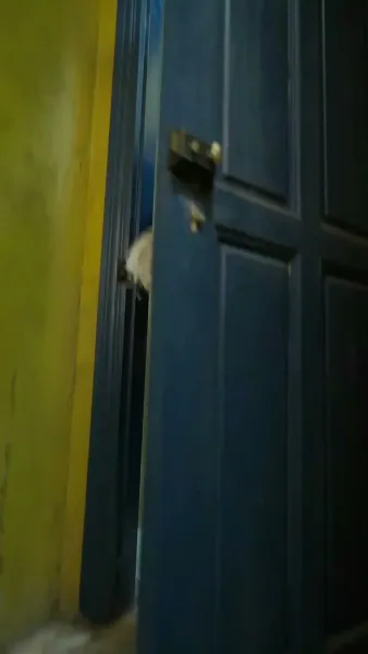 คุณแม่สุดเท่