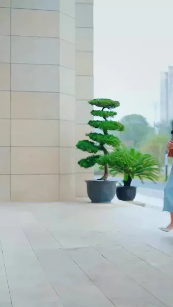 เขยลับตระกูลเศรษฐี