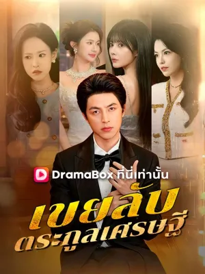 เขยลับตระกูลเศรษฐี