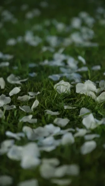 สามีเจ้าชายนิทรา ดันอ่านใจฉันได้