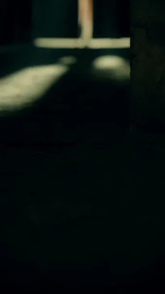 ย่าเยาว์วัยปฏิวิตัวงศ์ตระกูล 2