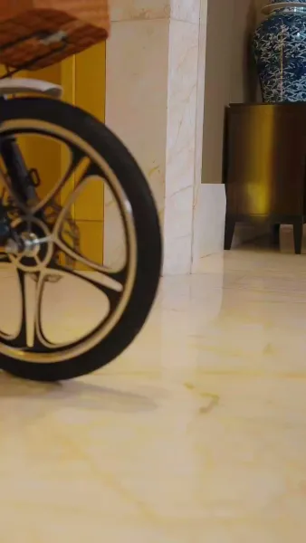 ลูกสาวแห่งโชคชะตา