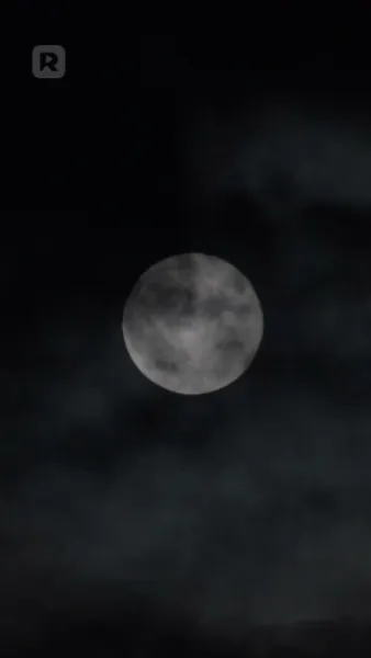 สายใยรักล่องหน